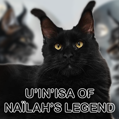 2025 inisa maine coon