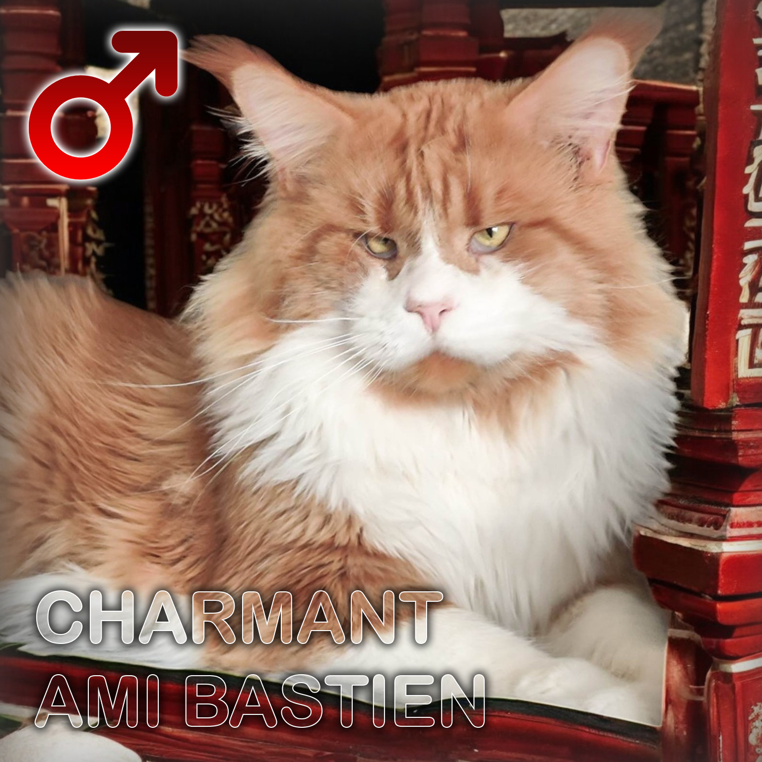 Bastien