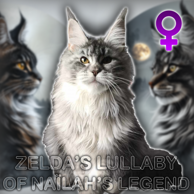 Zelda